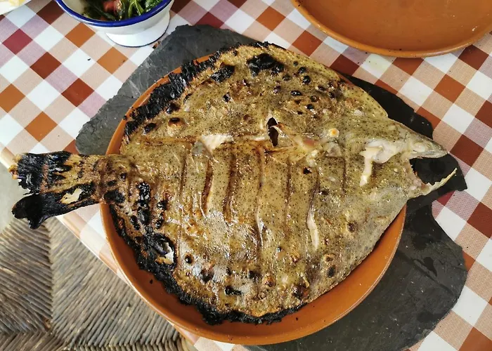 Casa Do Catalan - Casa Completa - Semesterbostad Navia de Suarna